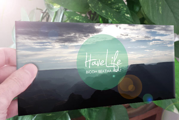 Have Life Trifold 2015